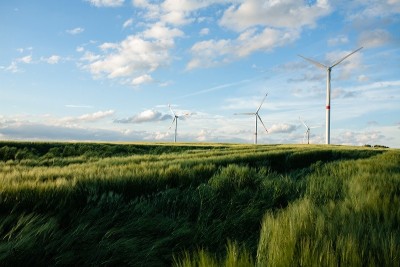 Environmental Consulting